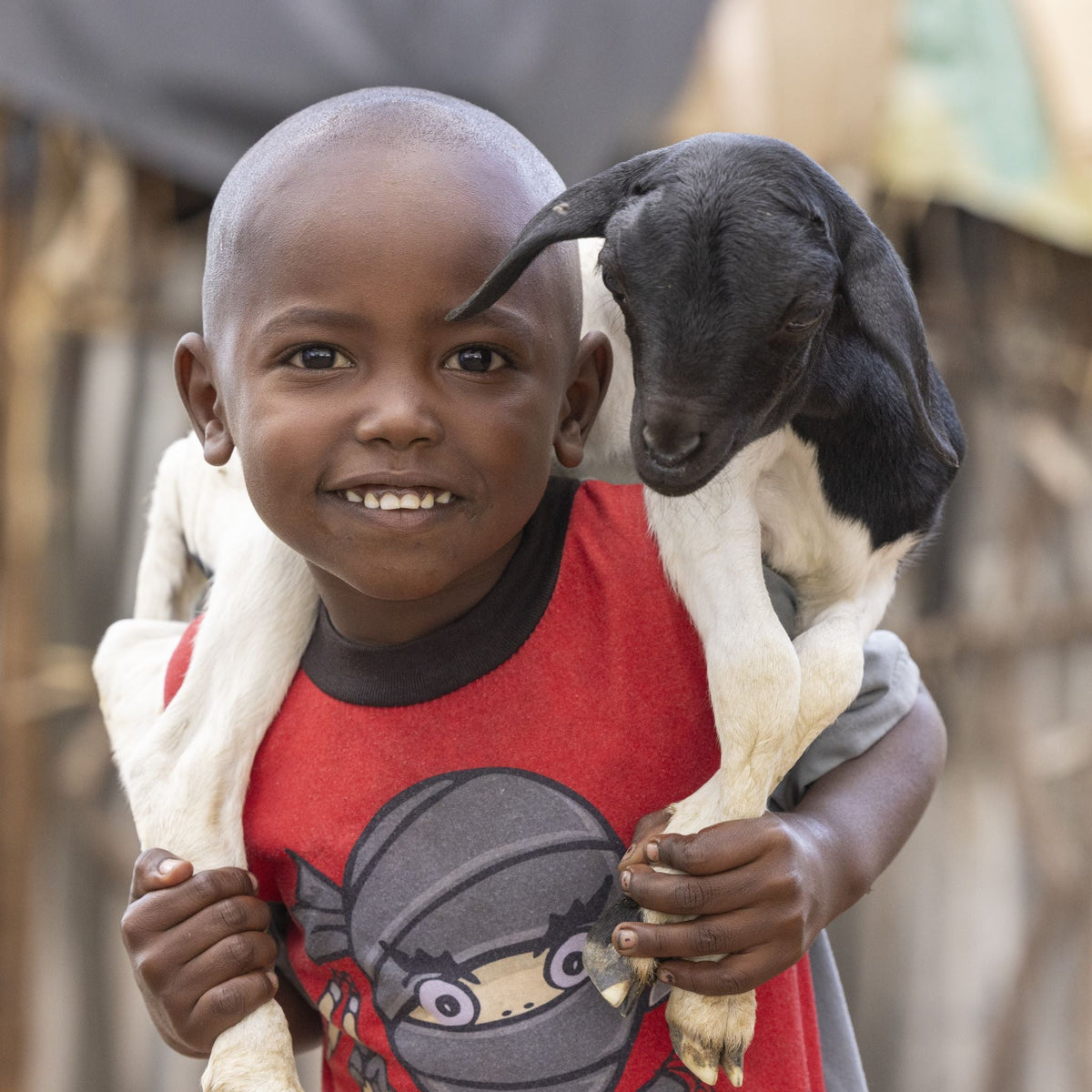 Give a Goat | Gifts that Grow | ChildFund NZ – ChildFund New Zealand