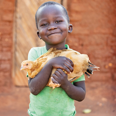 Child holding a small chicken in front of a brick wall